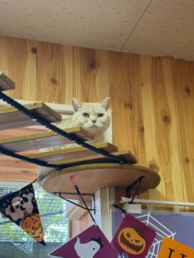 那須どうぶつ王国に投稿された画像（2025/10/28）