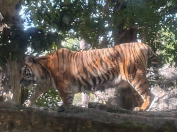 恩賜上野動物園に投稿された画像（2025/10/28）