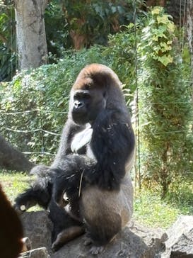 恩賜上野動物園に投稿された画像（2025/10/28）