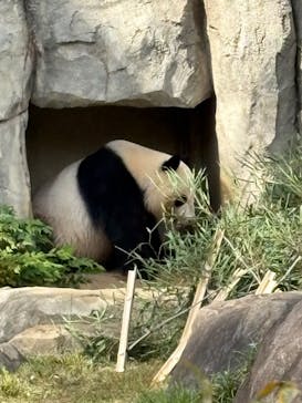 恩賜上野動物園に投稿された画像（2025/10/28）