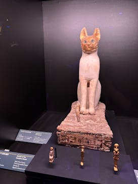 ACN ラムセス大王展 ファラオたちの黄金に投稿された画像（2025/10/28）