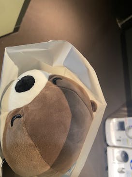 サンシャイン水族館に投稿された画像（2025/10/28）