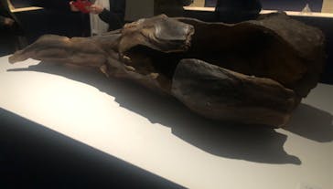 正倉院 THE SHOW ―感じる。いま、ここにある奇跡―　@上野の森美術館に投稿された画像（2025/10/28）