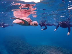 calm石垣島に投稿された画像（2025/10/28）