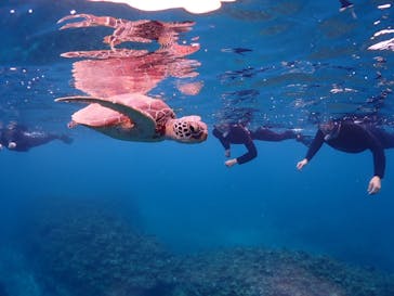 calm石垣島に投稿された画像（2025/10/28）