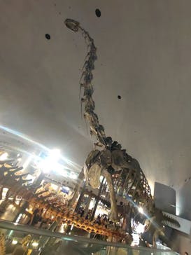福井県立恐竜博物館に投稿された画像（2025/10/28）