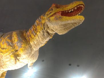 福井県立恐竜博物館に投稿された画像（2025/10/28）