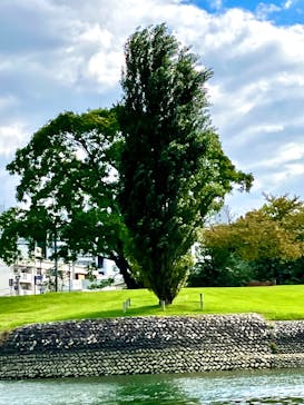 ひろしまリバークルーズに投稿された画像（2025/10/28）