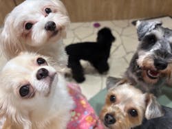 いぬカフェRio 下北沢店に投稿された画像（2025/10/28）