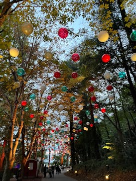 ムーミンバレーパークに投稿された画像（2025/10/28）