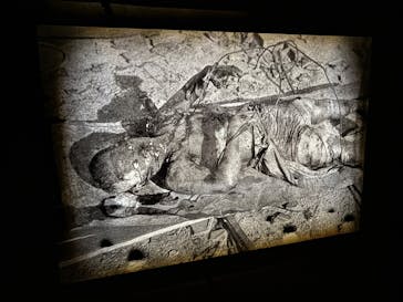 広島平和記念資料館に投稿された画像（2025/10/28）