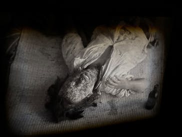 広島平和記念資料館に投稿された画像（2025/10/28）