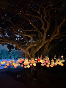 江の島シーキャンドルに投稿された画像（2025/10/28）