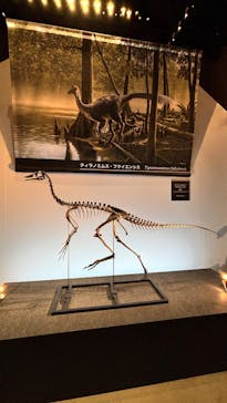 福井県立恐竜博物館に投稿された画像（2025/10/28）