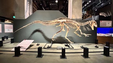 福井県立恐竜博物館に投稿された画像（2025/10/28）