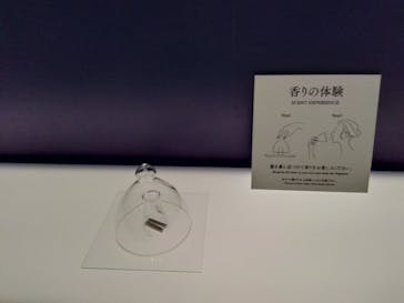 正倉院 THE SHOW ―感じる。いま、ここにある奇跡―　@上野の森美術館に投稿された画像（2025/10/28）