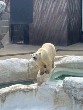 恩賜上野動物園に投稿された画像（2025/10/28）