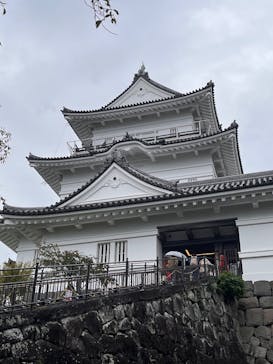 小田原城に投稿された画像（2025/10/28）