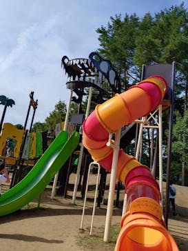 福井県立恐竜博物館に投稿された画像（2025/10/28）