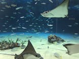 サンシャイン水族館に投稿された画像（2025/10/28）