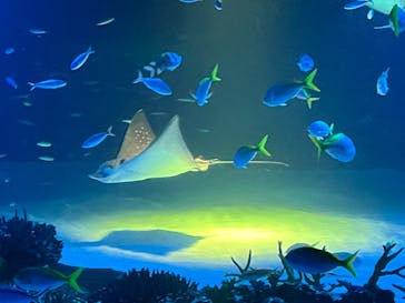 サンシャイン水族館に投稿された画像（2025/10/28）