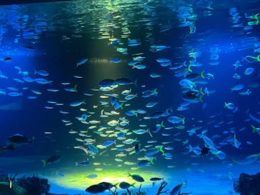 サンシャイン水族館に投稿された画像（2025/10/28）
