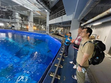 沖縄美ら海水族館（館内体験）に投稿された画像（2025/10/28）