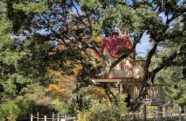 京成バラ園に投稿された画像（2025/10/28）