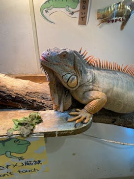 アニタッチららぽーと名古屋みなとアクルスに投稿された画像（2025/10/28）