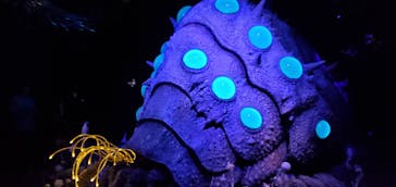 金曜ロードショーとジブリ展（静岡展）に投稿された画像（2025/10/28）