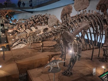 福井県立恐竜博物館に投稿された画像（2025/10/28）