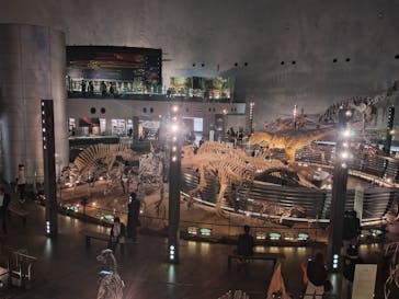 福井県立恐竜博物館に投稿された画像（2025/10/28）