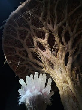 金曜ロードショーとジブリ展（静岡展）に投稿された画像（2025/10/28）