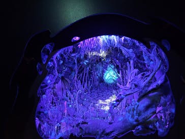 金曜ロードショーとジブリ展（静岡展）に投稿された画像（2025/10/28）