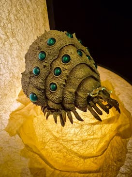 金曜ロードショーとジブリ展（静岡展）に投稿された画像（2025/10/28）