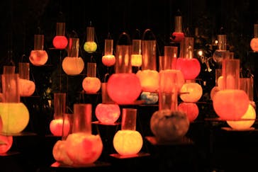 江の島シーキャンドルに投稿された画像（2025/10/28）