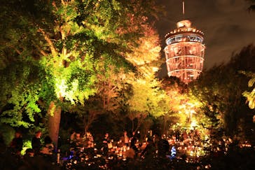 江の島シーキャンドルに投稿された画像（2025/10/28）