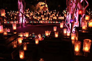 江の島シーキャンドルに投稿された画像（2025/10/28）