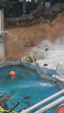 天王寺動物園に投稿された画像（2025/10/28）