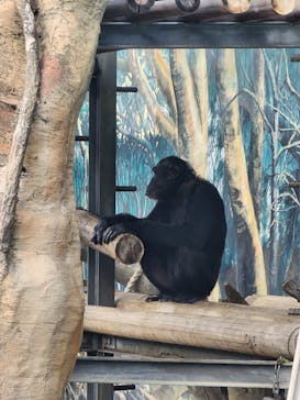 天王寺動物園に投稿された画像（2025/10/28）