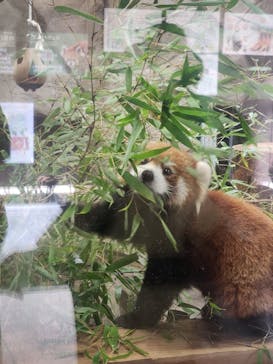 天王寺動物園に投稿された画像（2025/10/28）