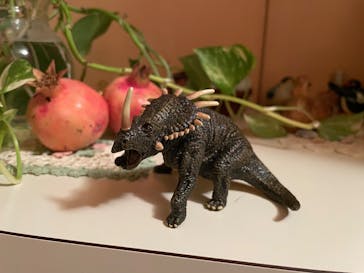 福井県立恐竜博物館に投稿された画像（2025/10/28）