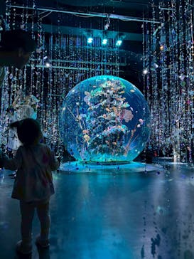 AQUARIUM × ART　atoaに投稿された画像（2025/10/28）