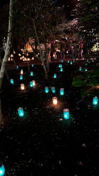 江の島シーキャンドルに投稿された画像（2025/10/28）