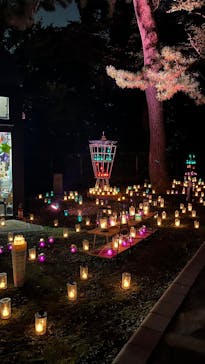 江の島シーキャンドルに投稿された画像（2025/10/28）