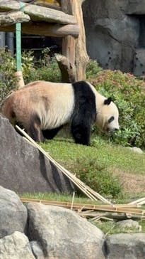 恩賜上野動物園に投稿された画像（2025/10/28）