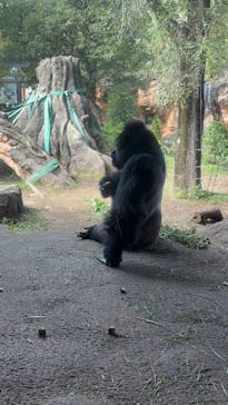 恩賜上野動物園に投稿された画像（2025/10/28）
