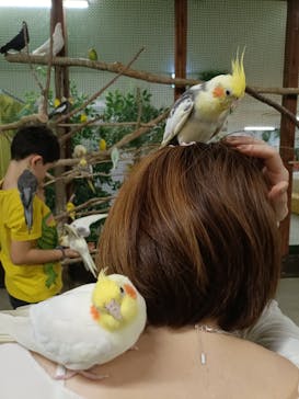 アニタッチ 東京ドームシティに投稿された画像（2025/10/28）