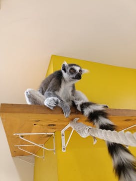 アニタッチ 東京ドームシティに投稿された画像（2025/10/28）