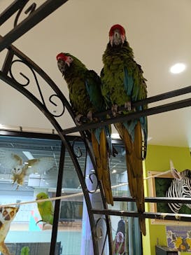 アニタッチ 東京ドームシティに投稿された画像（2025/10/28）